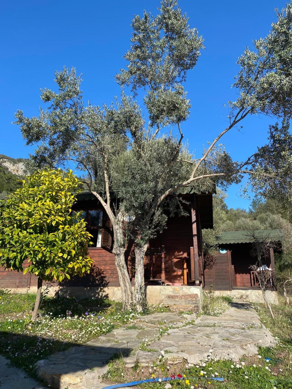 Olympos Talara By Arzum Ξενοδοχείο Kumluca Εξωτερικό φωτογραφία